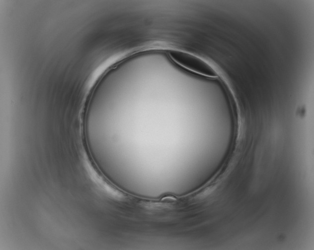 X0000113621341200910091522