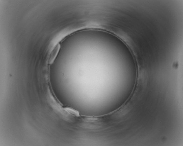 X0000113621342200910091522