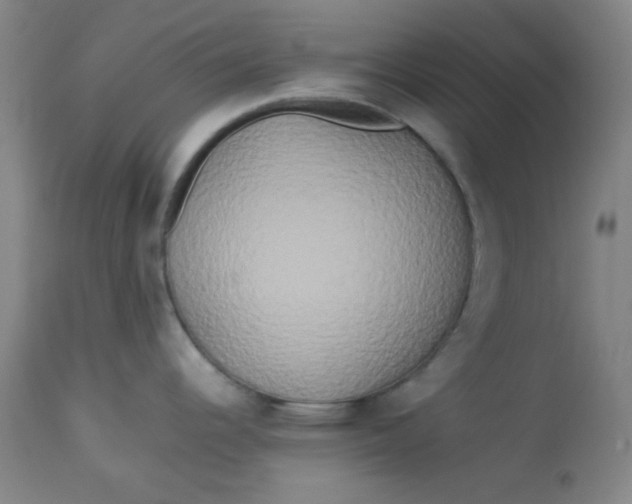 X0000113621344200910091522