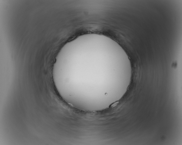 X0000113621345200910091521