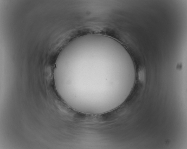 X0000113621347200910091521