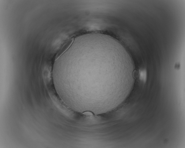 X0000113621348200910091521