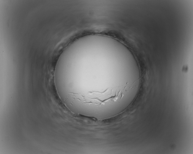 X0000113621349200910091521