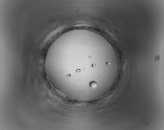 X0000113621351200910091521