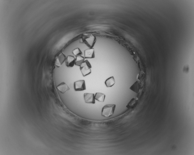 X0000113621354200910091521