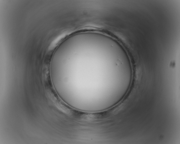 X0000113621355200910091521