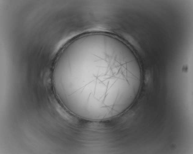 X0000113621356200910091521