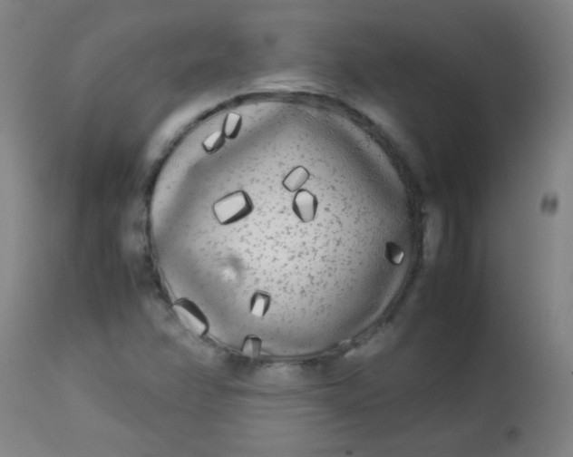 X0000113621358200910091521