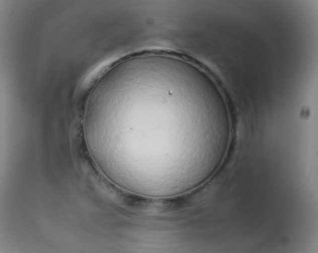 X0000113621359200910091521