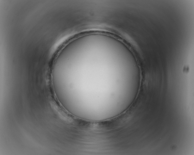 X0000113621360200910091521