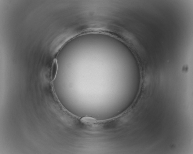 X0000113621361200910091521