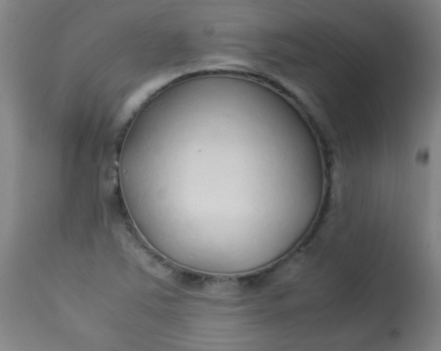 X0000113621363200910091521