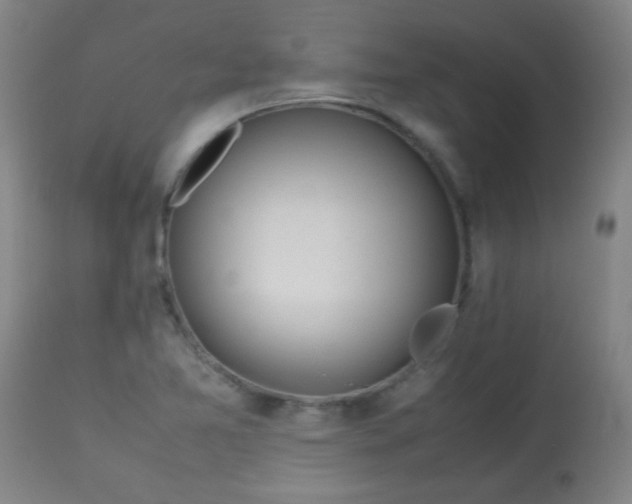 X0000113621365200910091521