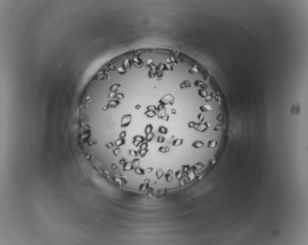 X0000113621366200910091521