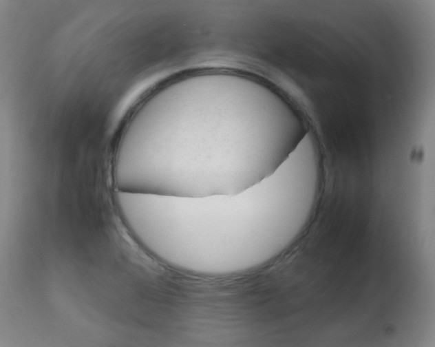 X0000113621368200910091521