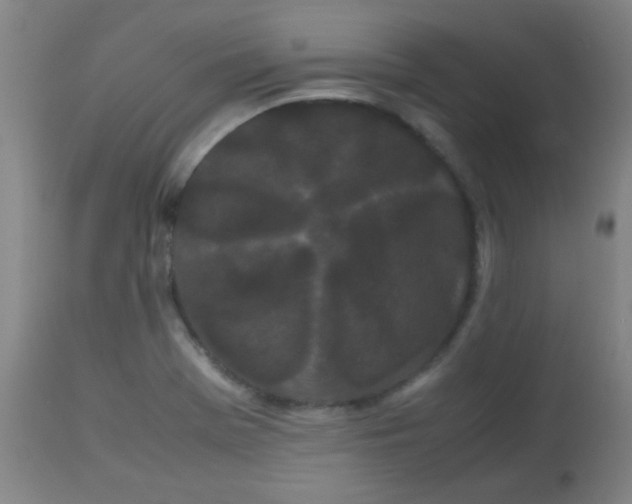 X0000113621369200910091521