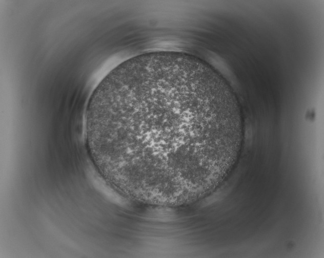 X0000113621370200910091521