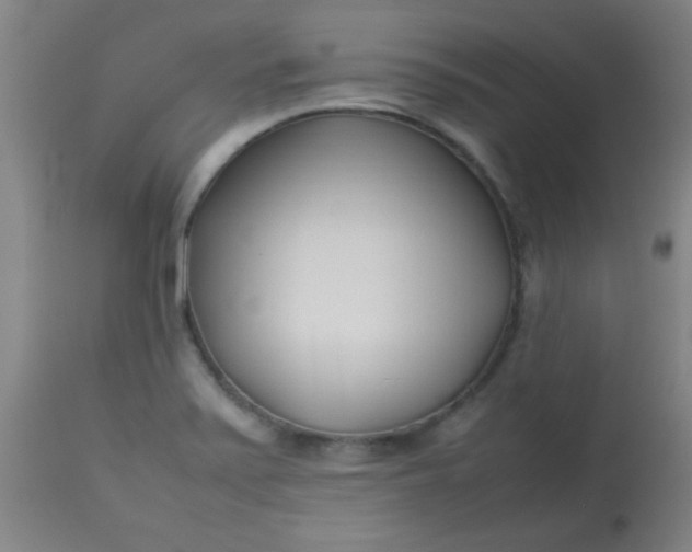 X0000113621371200910091521