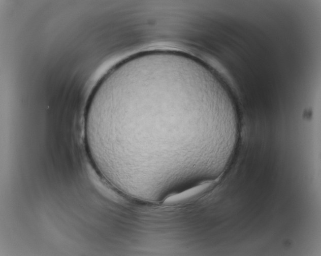 X0000113621372200910091521