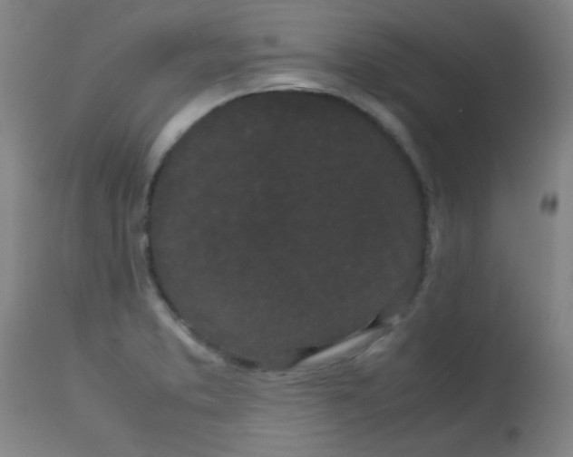 X0000113621373200910091521