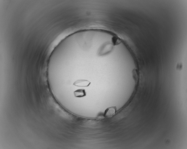 X0000113621374200910091521