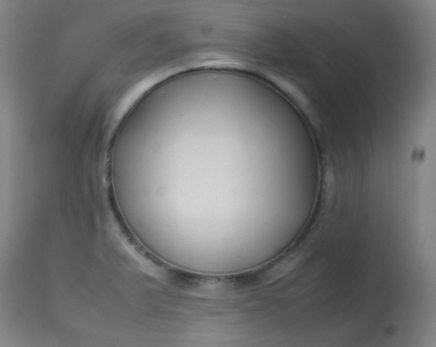 X0000113621375200910091521