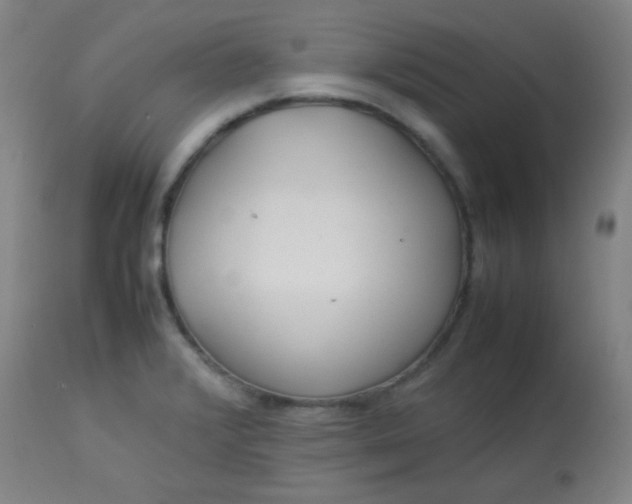 X0000113621376200910091521