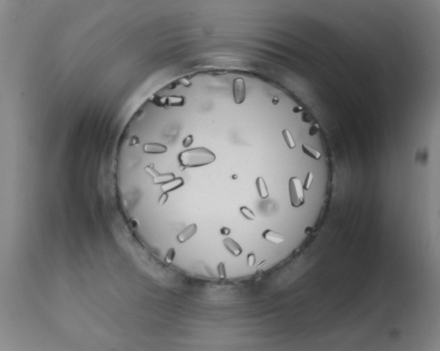 X0000113621378200910091521