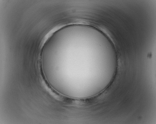 X0000113621379200910091521