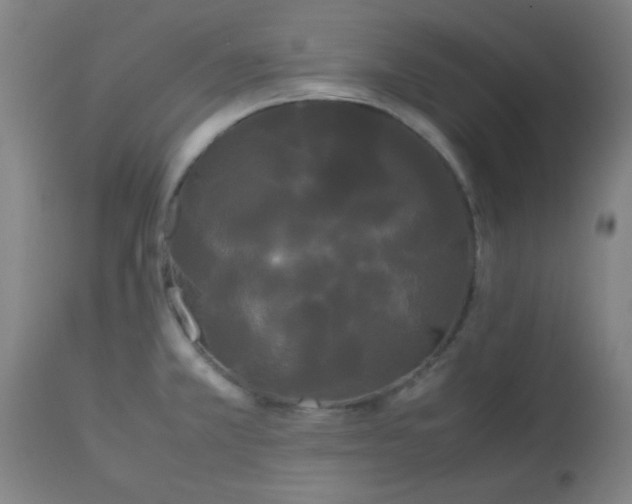 X0000113621381200910091521