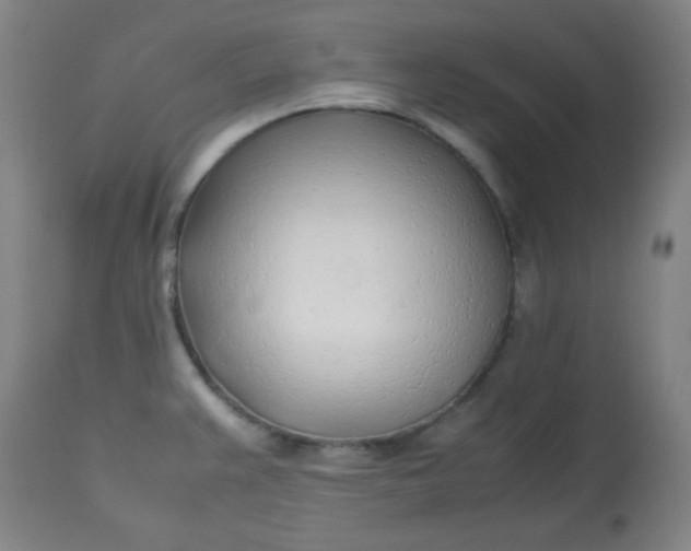 X0000113621383200910091521