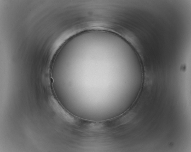 X0000113621384200910091521