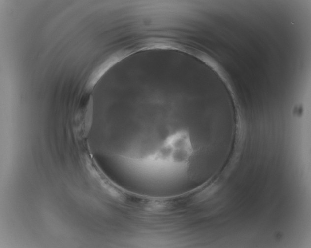 X0000113621385200910091521