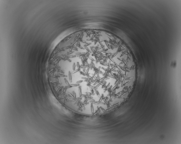 X0000113621386200910091521