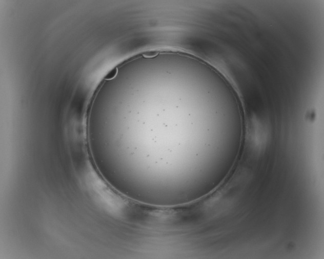 X0000113621388200910091521