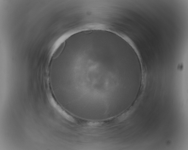 X0000113621389200910091521