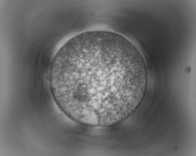 X0000113621390200910091521