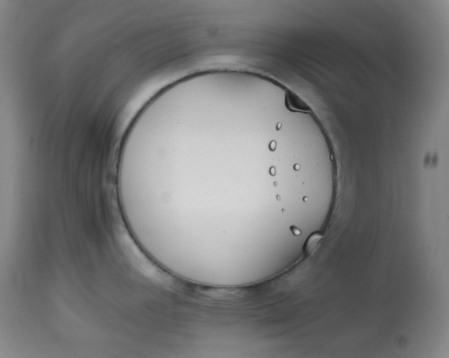 X0000113621392200910091521