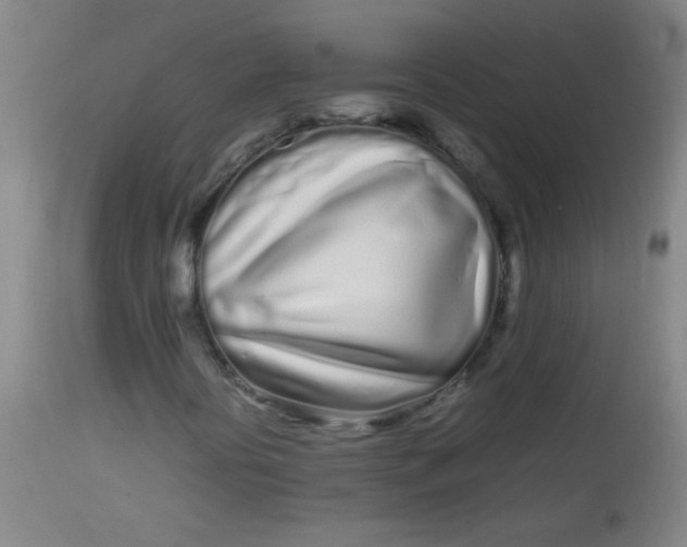 X0000113621394200910091520