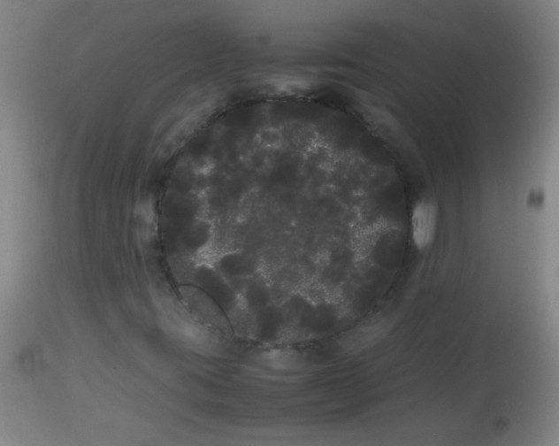 X0000113621395200910091520