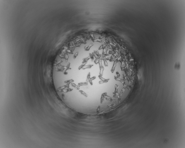 X0000113621396200910091520