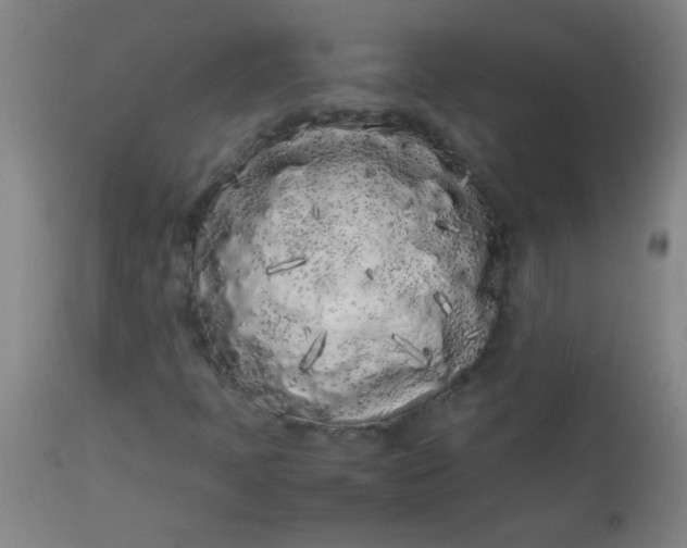 X0000113621397200910091520