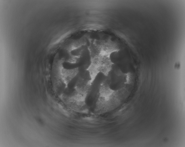 X0000113621399200910091520