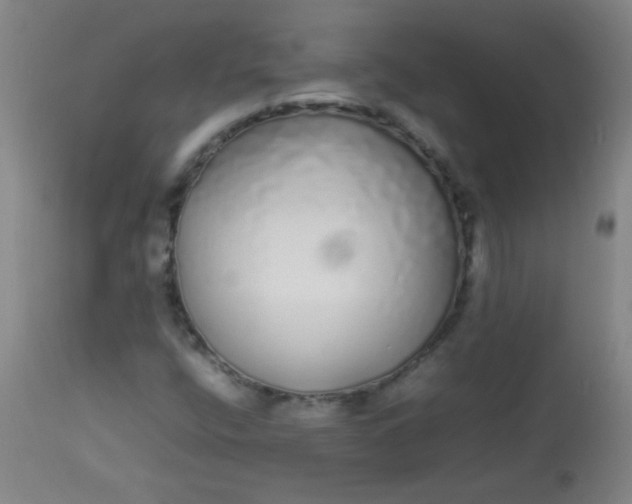 X0000113621400200910091520