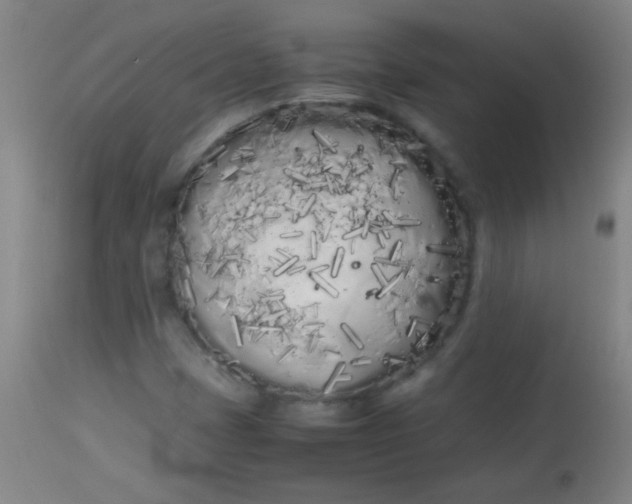 X0000113621401200910091520