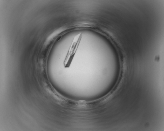 X0000113621402200910091520