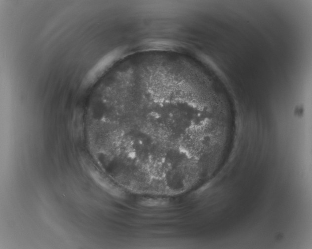 X0000113621403200910091520