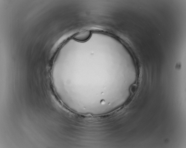 X0000113621404200910091520