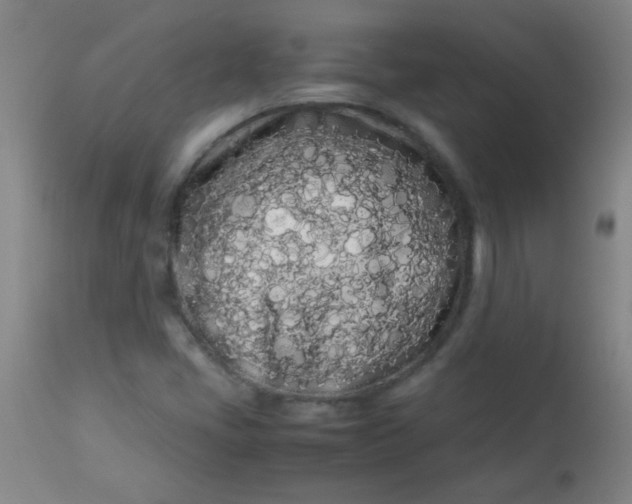 X0000113621405200910091520