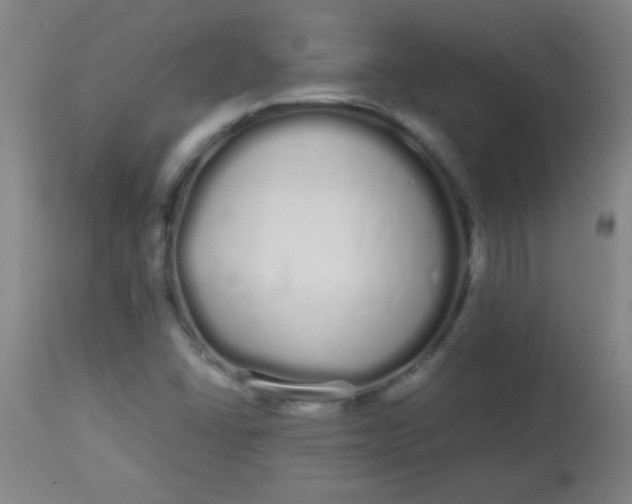 X0000113621406200910091520